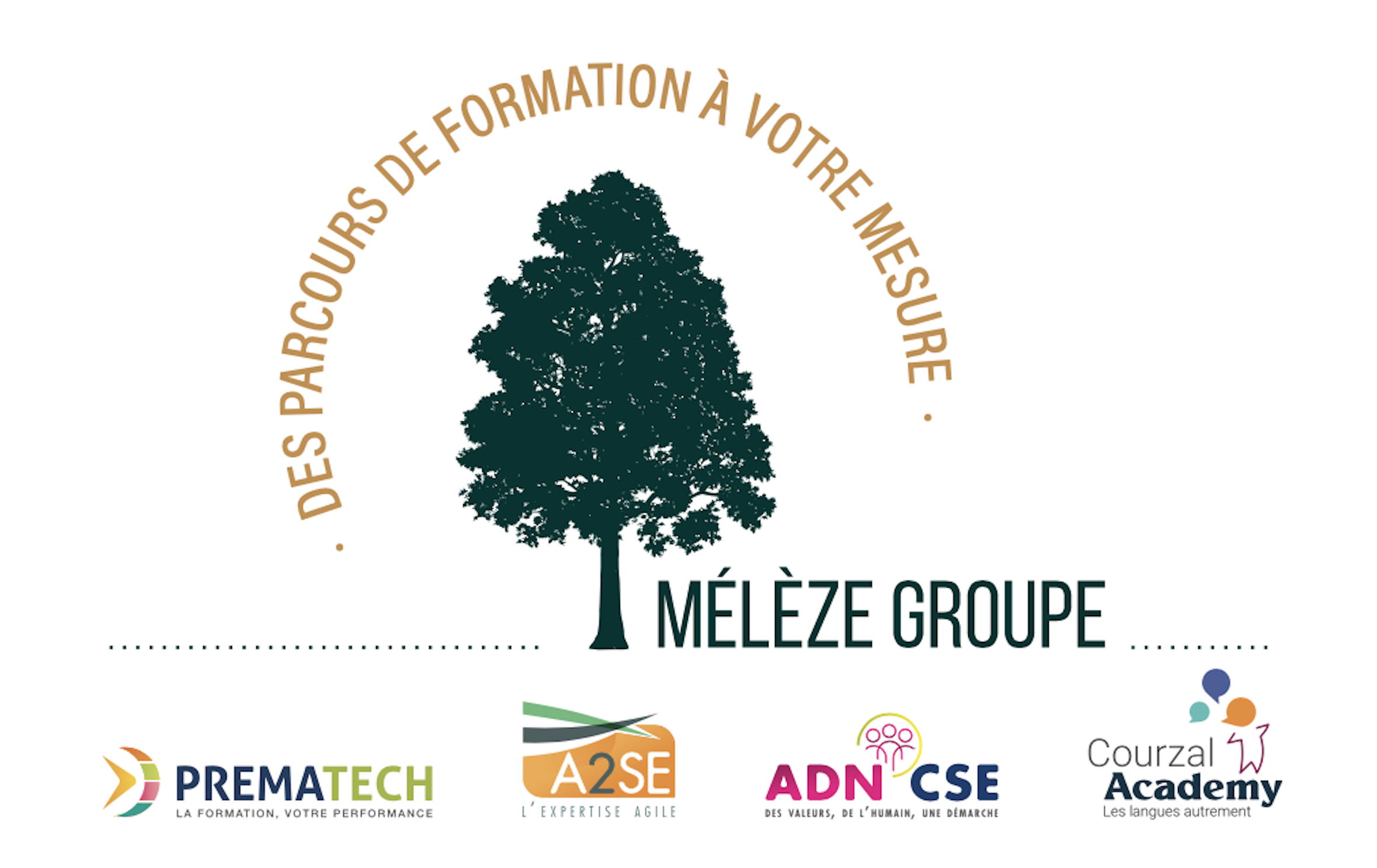 logo Groupe Meleze